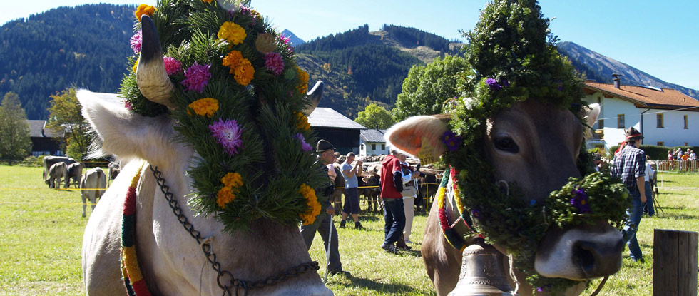 Viehscheid, Almabtrieb viehscheid, alpabtrieb