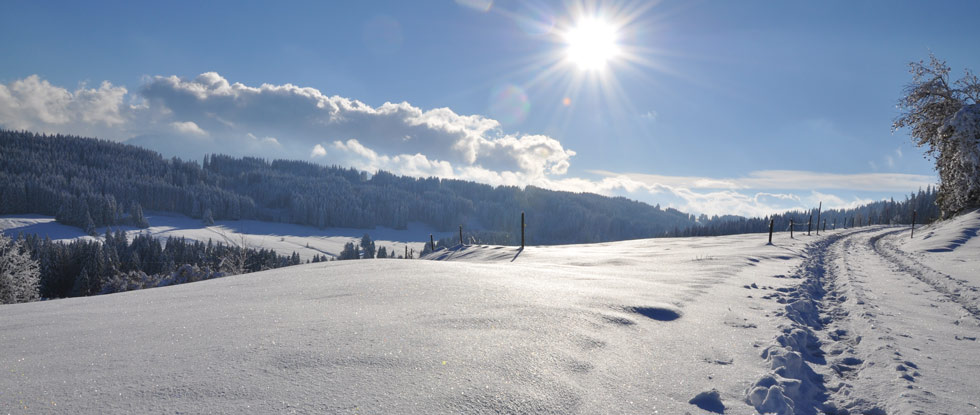 winterwandern