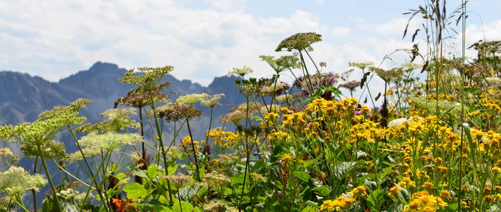 Wanderwoche herbsturlaub
